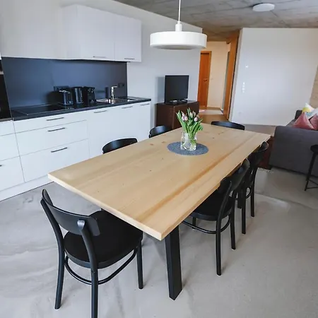 Boutique Apartments Lustenau Nachhaltige Kuehlung Ueber Erdsonde Und Fussbodenkuehlung Esterno foto
