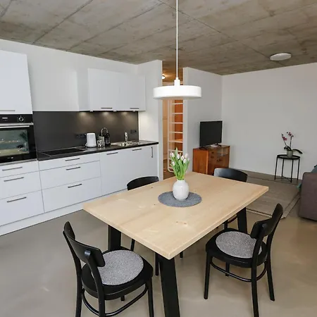 Boutique Apartments Lustenau Nachhaltige Kuehlung Ueber Erdsonde Und Fussbodenkuehlung Camera foto