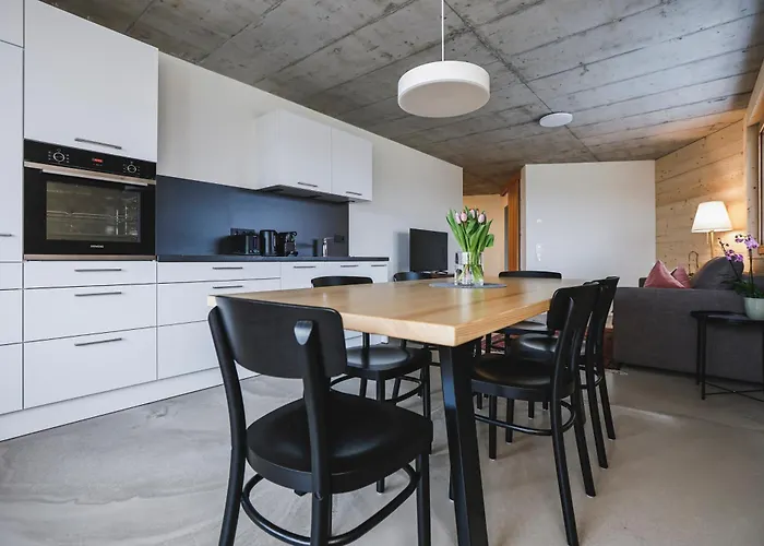 Boutique Apartments Lustenau Nachhaltige Kuehlung Ueber Erdsonde Und Fussbodenkuehlung
