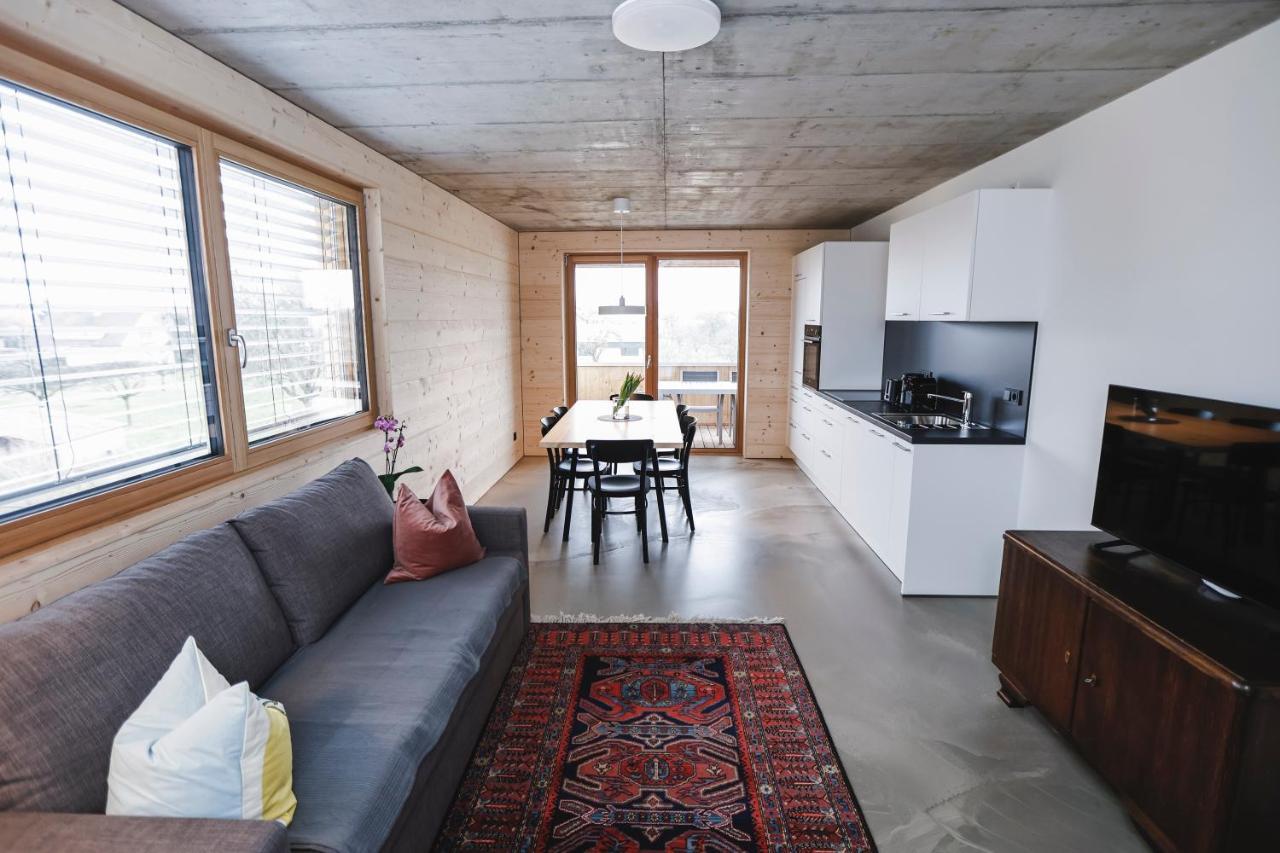 Boutique Nachhaltige Kuehlung Ueber Erdsonde Und Fussbodenkuehlung Apartment Lustenau